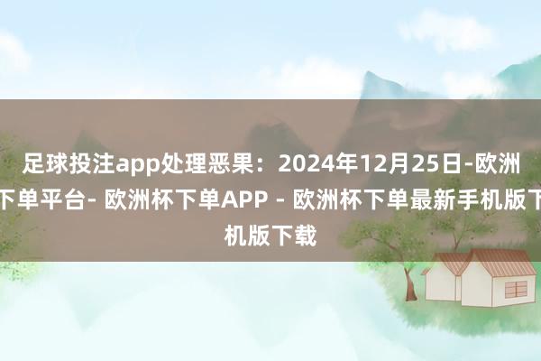 足球投注app处理恶果：2024年12月25日-欧洲杯下单平台- 欧洲杯下单APP - 欧洲杯下单最新手机版下载