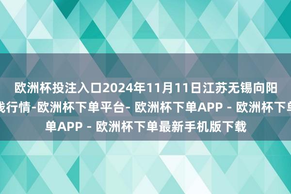 欧洲杯投注入口2024年11月11日江苏无锡向阳农居品大阛阓价钱行情-欧洲杯下单平台- 欧洲杯下单APP - 欧洲杯下单最新手机版下载