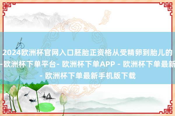 2024欧洲杯官网入口胚胎正资格从受精卵到胎儿的要津震动期-欧洲杯下单平台- 欧洲杯下单APP - 欧洲杯下单最新手机版下载