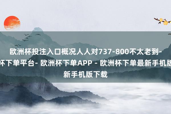 欧洲杯投注入口　　概况人人对737-800不太老到-欧洲杯下单平台- 欧洲杯下单APP - 欧洲杯下单最新手机版下载