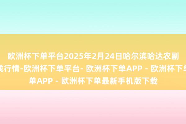 欧洲杯下单平台2025年2月24日哈尔滨哈达农副产物有限公司价钱行情-欧洲杯下单平台- 欧洲杯下单APP - 欧洲杯下单最新手机版下载