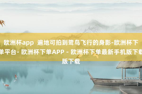 欧洲杯app  遍地可拍到鹭鸟飞行的身影-欧洲杯下单平台- 欧洲杯下单APP - 欧洲杯下单最新手机版下载