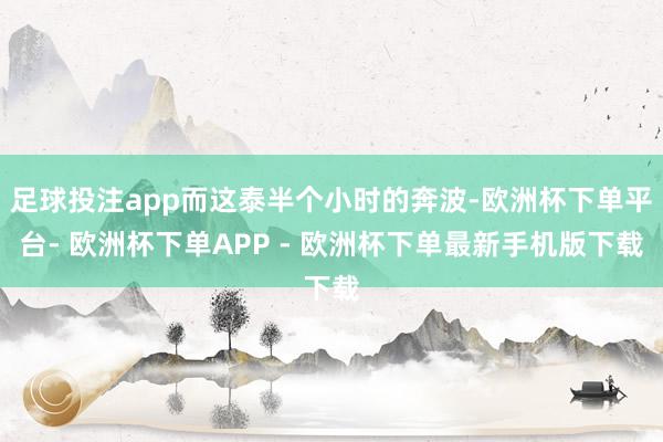 足球投注app而这泰半个小时的奔波-欧洲杯下单平台- 欧洲杯下单APP - 欧洲杯下单最新手机版下载
