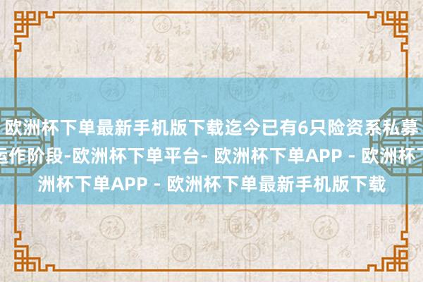 欧洲杯下单最新手机版下载迄今已有6只险资系私募证券投资基金参加运作阶段-欧洲杯下单平台- 欧洲杯下单APP - 欧洲杯下单最新手机版下载