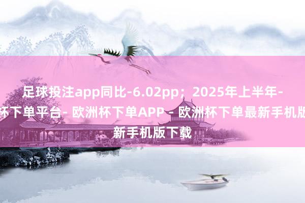 足球投注app同比-6.02pp；2025年上半年-欧洲杯下单平台- 欧洲杯下单APP - 欧洲杯下单最新手机版下载
