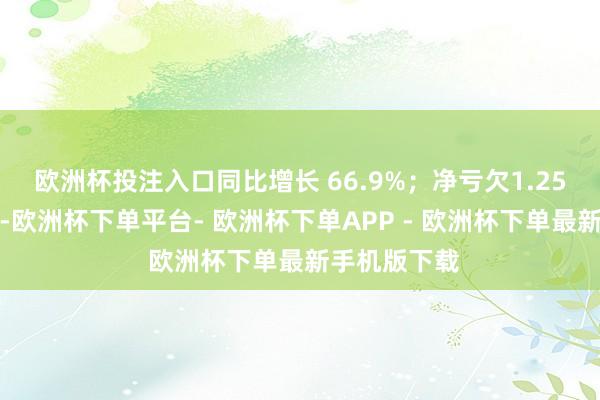 欧洲杯投注入口同比增长 66.9%;净亏欠1.25亿好意思元-欧洲杯下单平台- 欧洲杯下单APP - 欧洲杯下单最新手机版下载