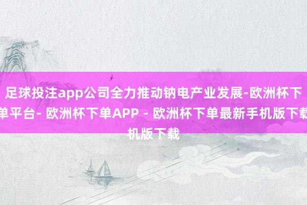 足球投注app公司全力推动钠电产业发展-欧洲杯下单平台- 欧洲杯下单APP - 欧洲杯下单最新手机版下载