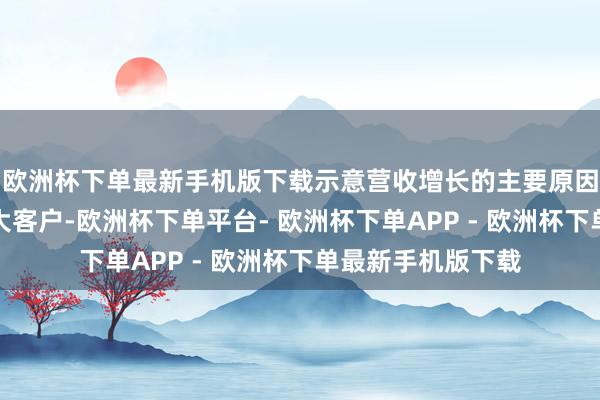 欧洲杯下单最新手机版下载示意营收增长的主要原因是公司深度绑定大客户-欧洲杯下单平台- 欧洲杯下单APP - 欧洲杯下单最新手机版下载