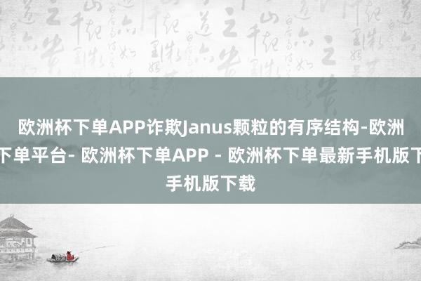 欧洲杯下单APP诈欺Janus颗粒的有序结构-欧洲杯下单平台- 欧洲杯下单APP - 欧洲杯下单最新手机版下载