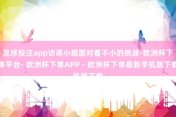 足球投注app访谒小组面对着不小的挑战-欧洲杯下单平台- 欧洲杯下单APP - 欧洲杯下单最新手机版下载