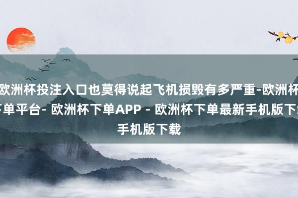 欧洲杯投注入口也莫得说起飞机损毁有多严重-欧洲杯下单平台- 欧洲杯下单APP - 欧洲杯下单最新手机版下载
