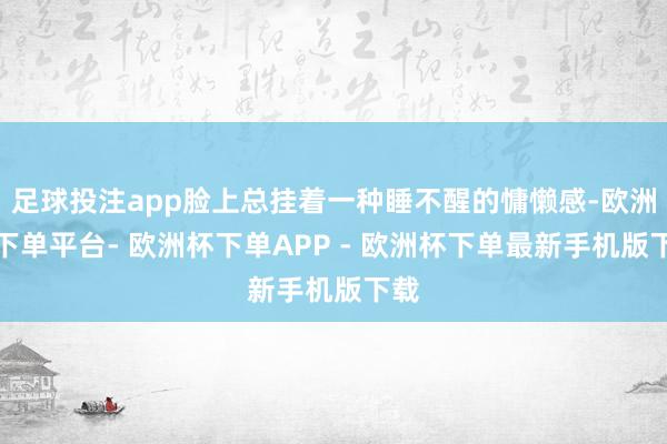 足球投注app脸上总挂着一种睡不醒的慵懒感-欧洲杯下单平台- 欧洲杯下单APP - 欧洲杯下单最新手机版下载