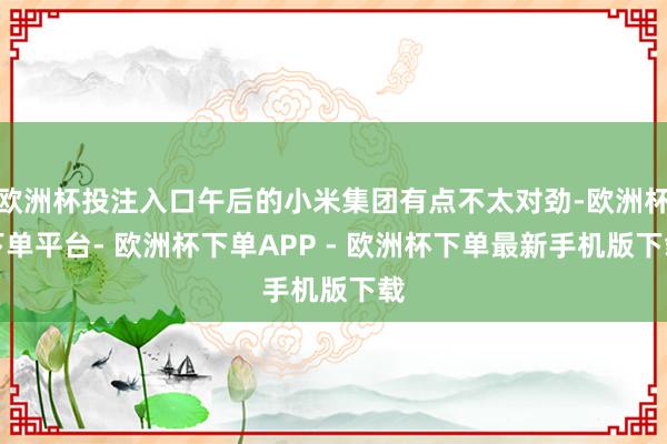 欧洲杯投注入口午后的小米集团有点不太对劲-欧洲杯下单平台- 欧洲杯下单APP - 欧洲杯下单最新手机版下载