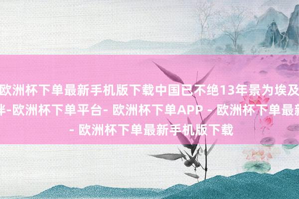 欧洲杯下单最新手机版下载中国已不绝13年景为埃及最大营业伙伴-欧洲杯下单平台- 欧洲杯下单APP - 欧洲杯下单最新手机版下载