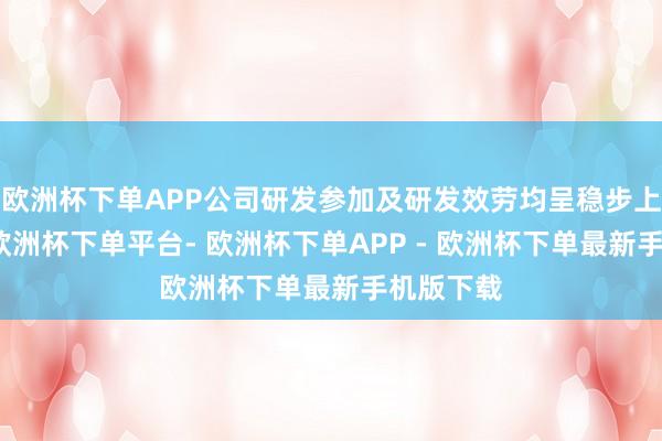 欧洲杯下单APP公司研发参加及研发效劳均呈稳步上涨态势-欧洲杯下单平台- 欧洲杯下单APP - 欧洲杯下单最新手机版下载