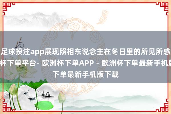足球投注app展现照相东说念主在冬日里的所见所感-欧洲杯下单平台- 欧洲杯下单APP - 欧洲杯下单最新手机版下载